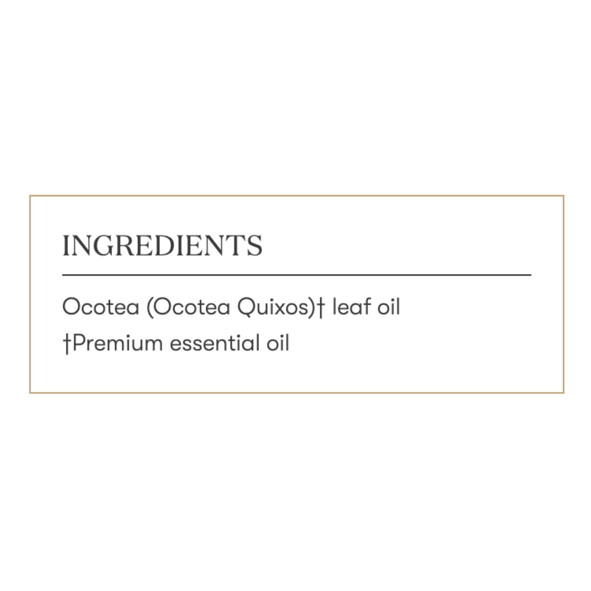 Alternativa suave a la canela tradicional, Ocotea ofrece opción aromática versátil.