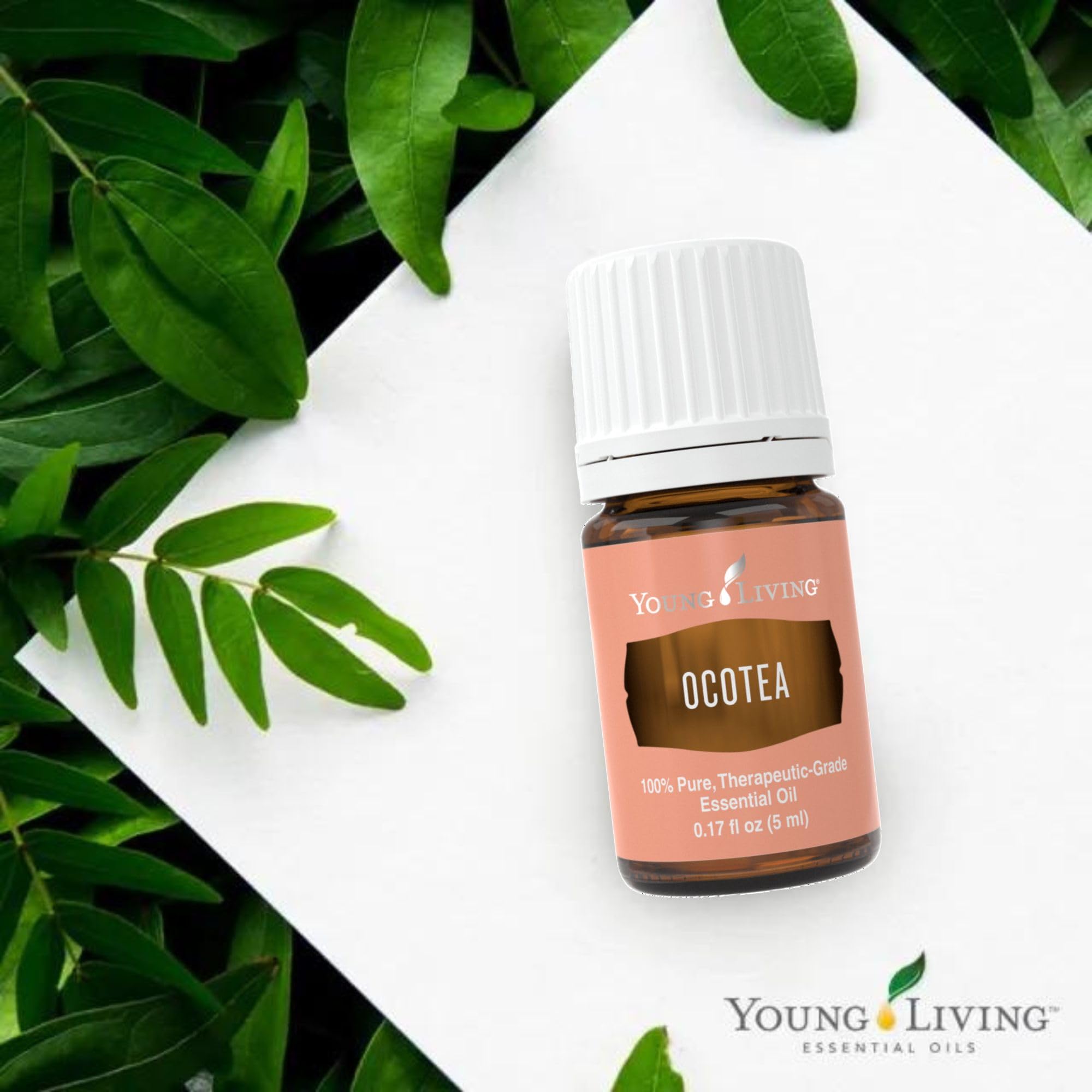 Ocotea, aroma cálido y picante, difusor para ambientar momentos de relajación.