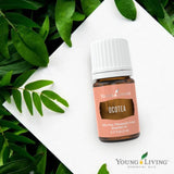 Ocotea, aroma cálido y picante, difusor para ambientar momentos de relajación.