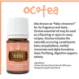 Ritual de limpieza espiritual con Ocotea para foco y claridad mental.