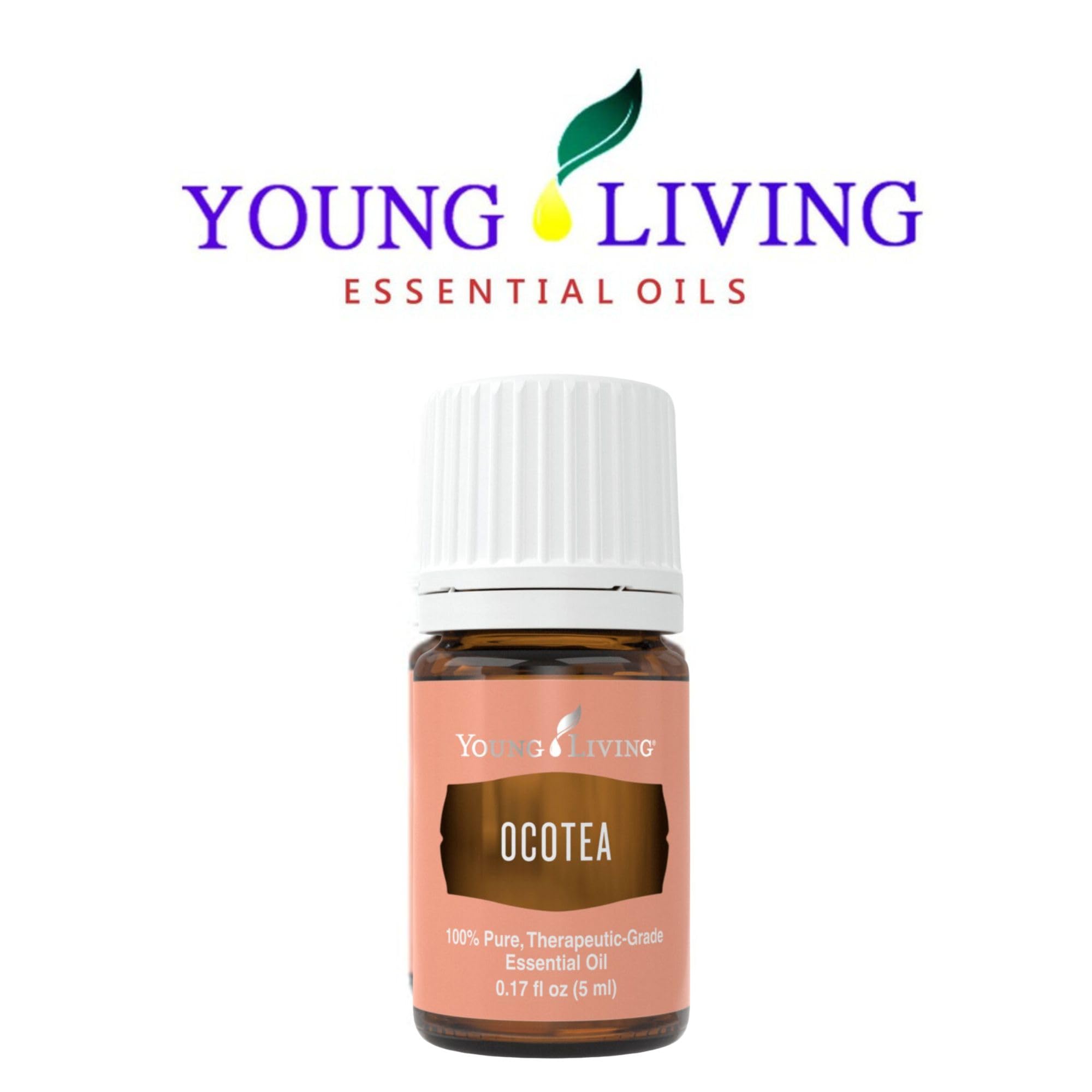 Historia cultural de Ocotea resalta su uso tradicional y valor aromático.