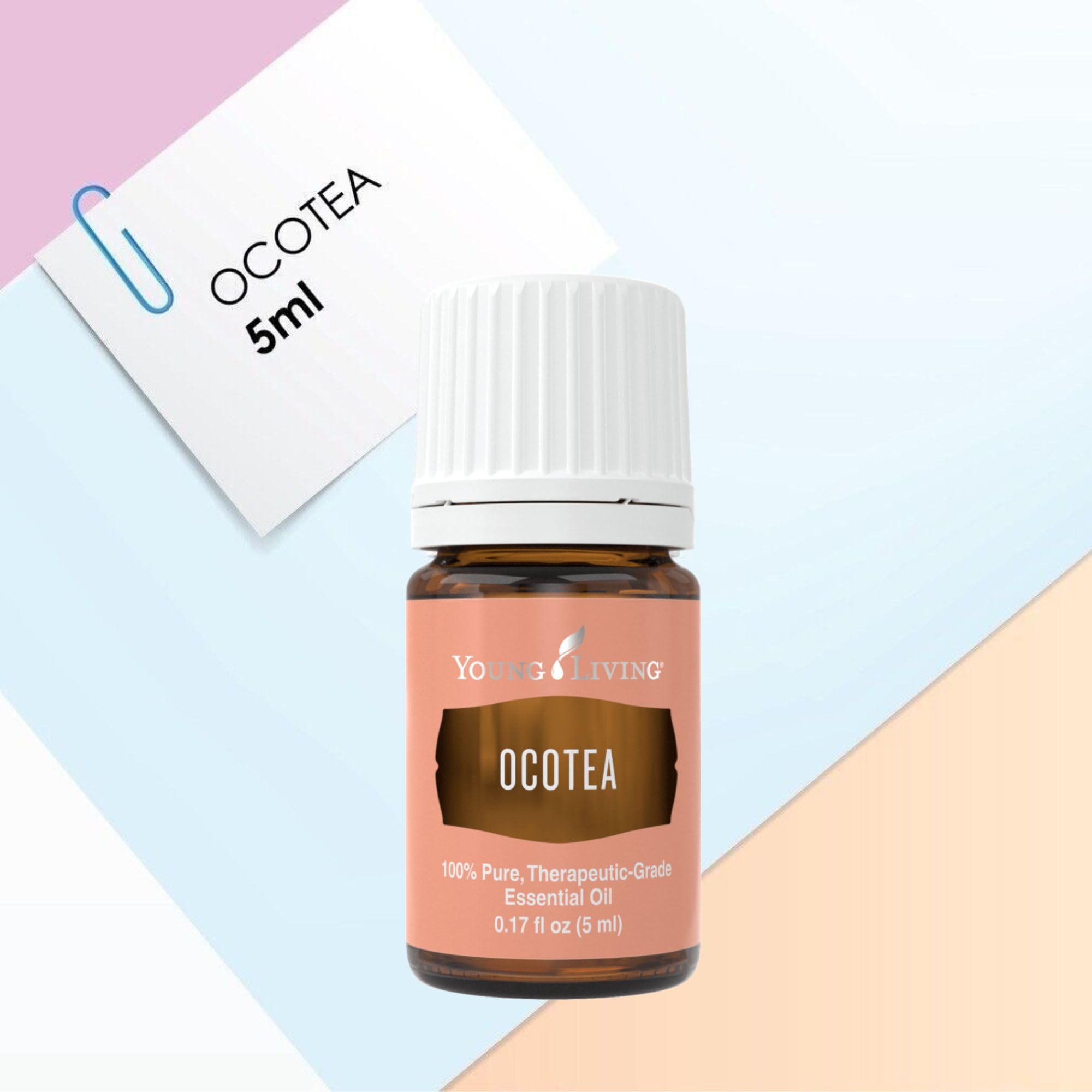 Primer plano del frasco Ocotea para uso en perfumería natural casera.