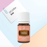 Primer plano del frasco Ocotea para uso en perfumería natural casera.