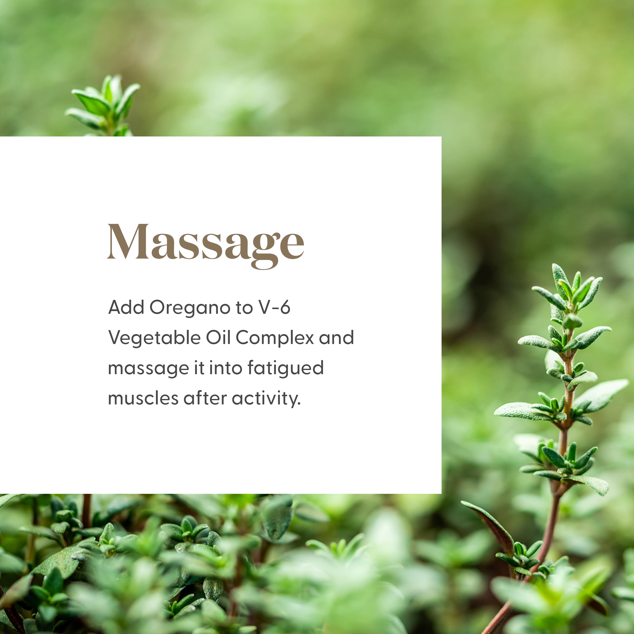 Young Living oregano aceite esencial, aplicación tópica diluido para piel suave.