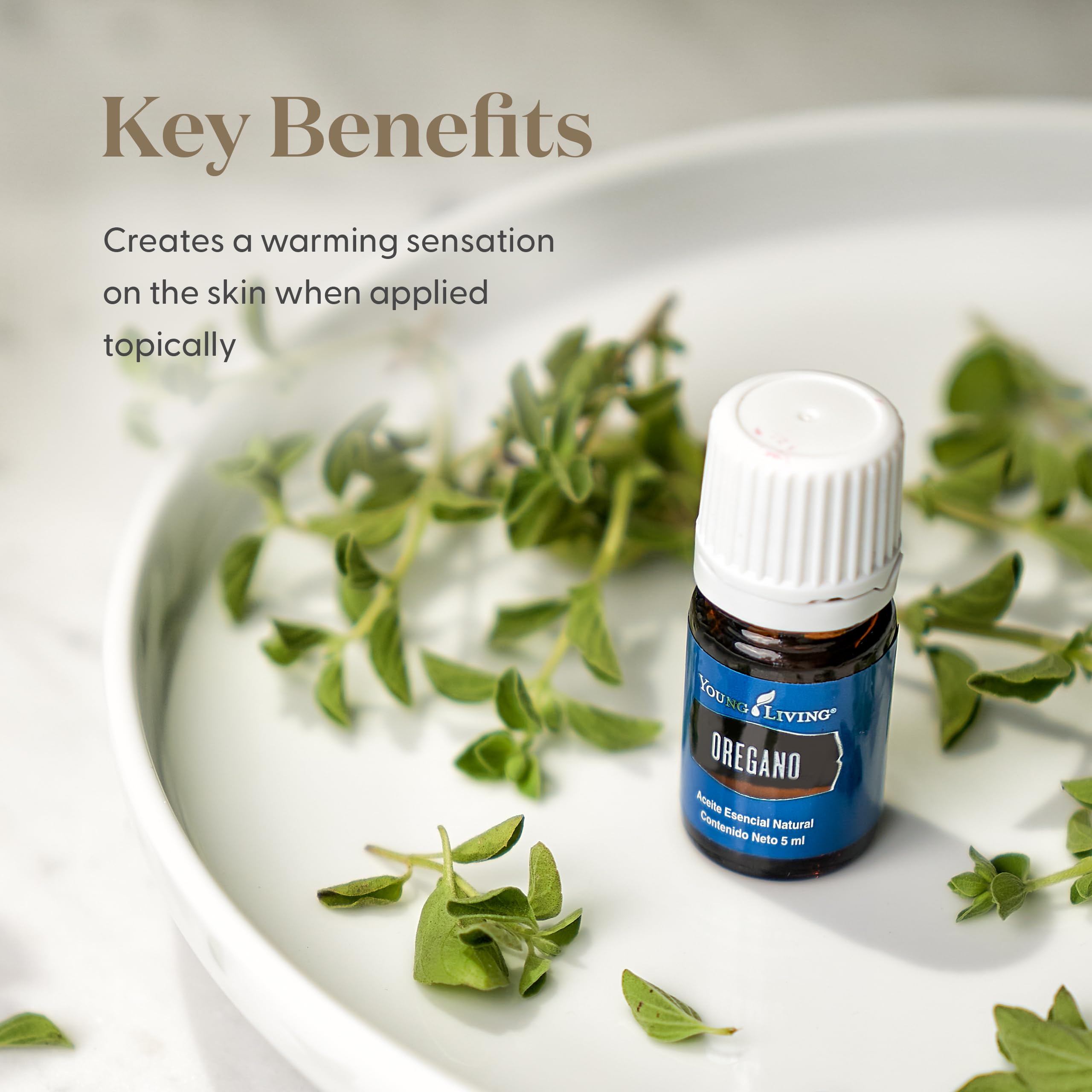 Young Living oregano aceite esencial, aroma natural para difusores y ambientes.