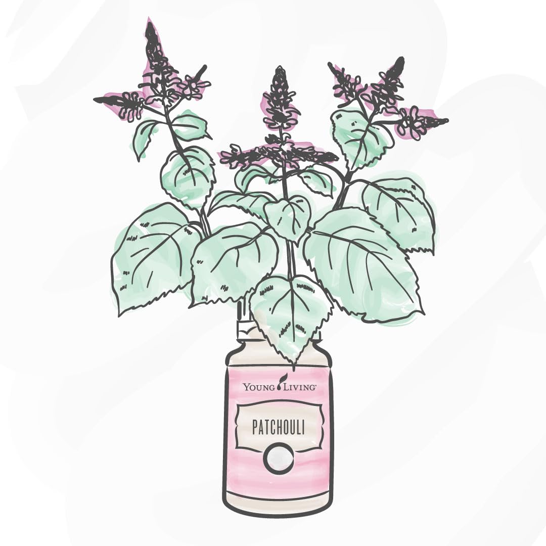 Aplicación en piel con Patchouli para un aspecto saludable