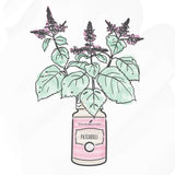 Aplicación en piel con Patchouli para un aspecto saludable