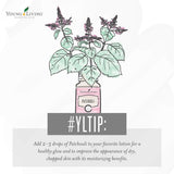 Difusión suave de Patchouli para un ambiente calmado con Young Living
