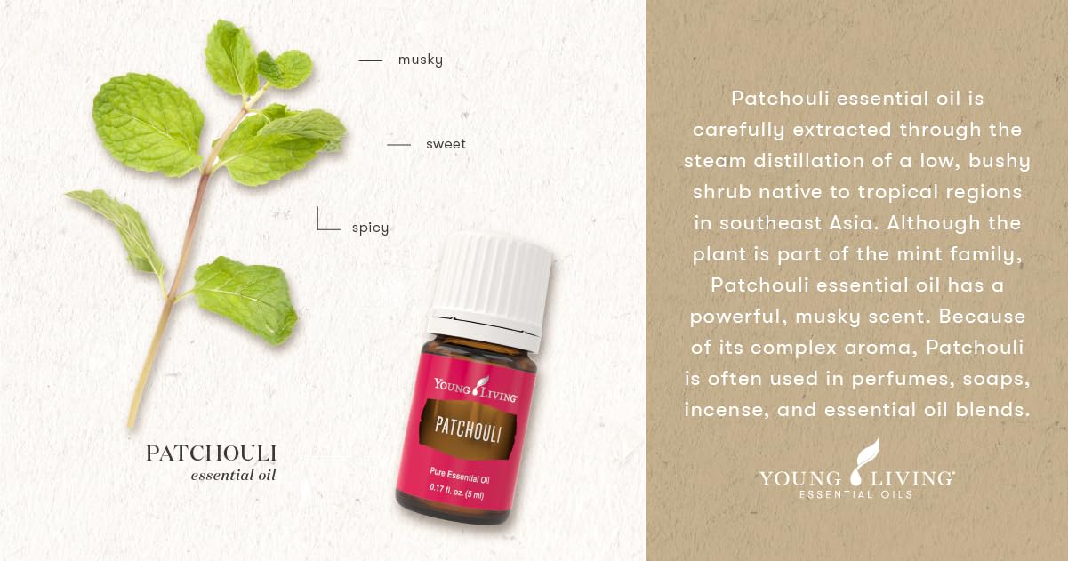 Ritual de aromaterapia con Patchouli de Young Living para bienestar