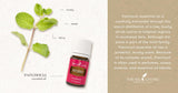 Ritual de aromaterapia con Patchouli de Young Living para bienestar