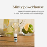 Young Living Peppermint Vitality: aplicación tópica diluida para masajes relajantes