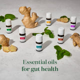 Young Living Peppermint Vitality: envase compacto de 5 ml para llevar