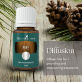 Young Living Pino: aroma para difusor, perfecto para momentos de concentración.