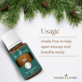 Young Living Pino: uso en masaje con aceite portador para una experiencia suave.