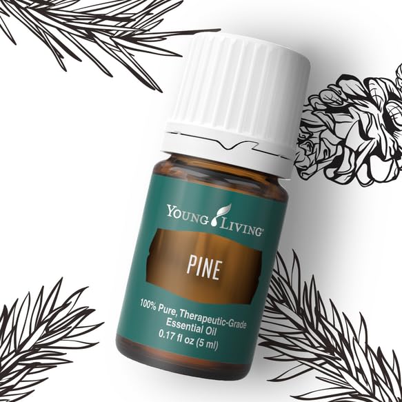 Young Living Pine: aroma fresco para difusor que realza cualquier ambiente.
