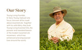 Young Living Pine: aroma natural para espacios de trabajo y hogar.