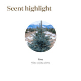 Young Living Pine: uso tópico suave para rutina de cuidado personal.