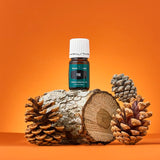 Young Living Pine: aceite para difusor, mejora ambientes con fragancia natural.