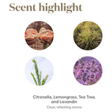 Purificación Young Living ingredientes vegetales para rutina de cuidado de la piel