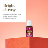 Purificación Young Living aroma cítrico-herbáceo para oficina