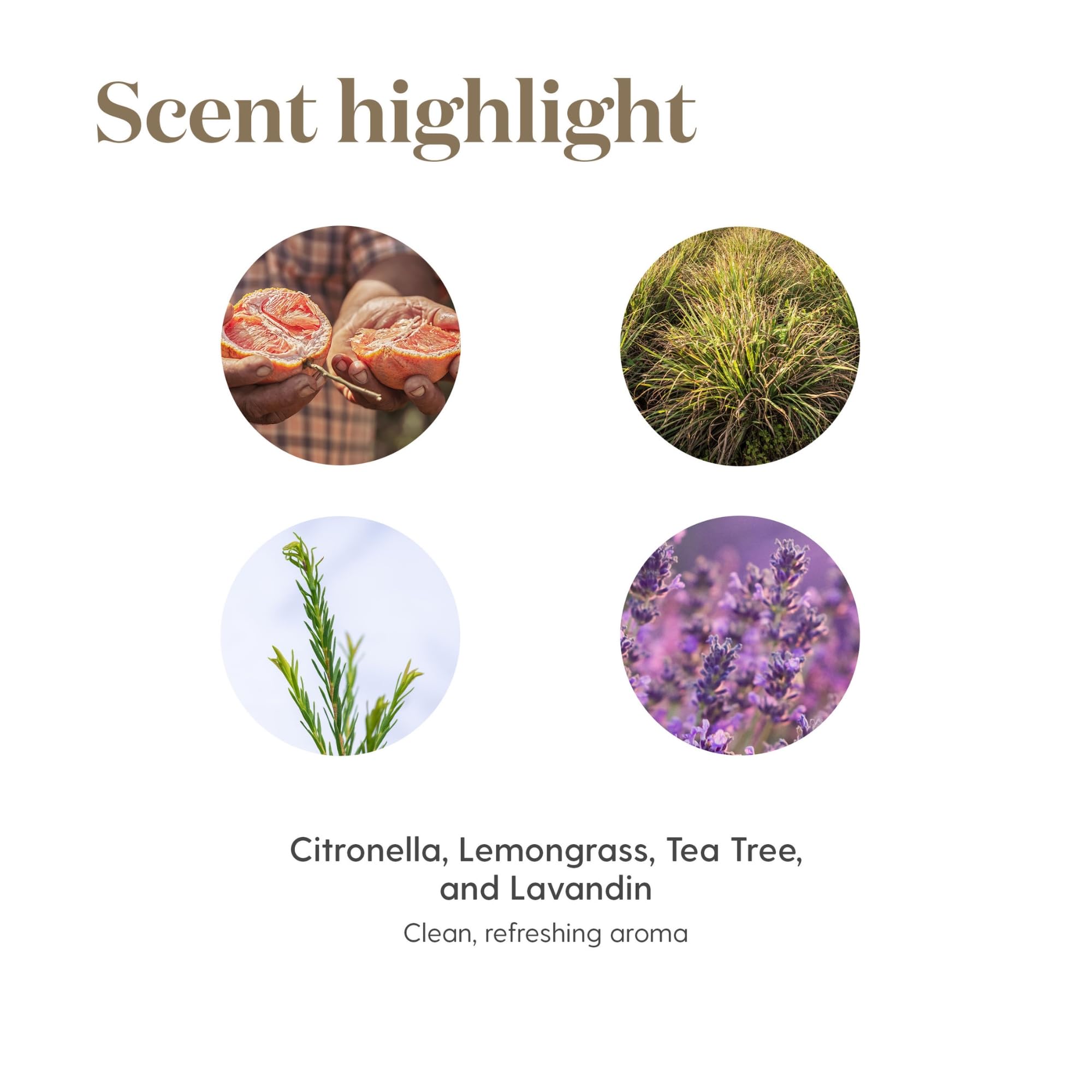 Young Living Purificación empaque-seguro y práctico para almacenamiento