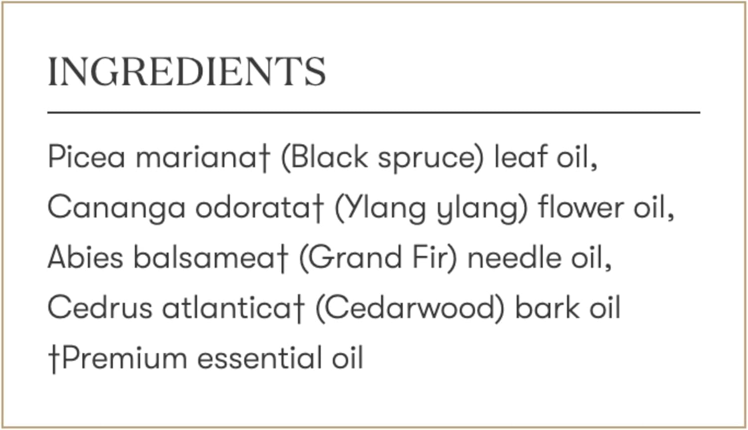 Young Living Sacred Mountain ambiente de meditación con fragancia estabilizadora.