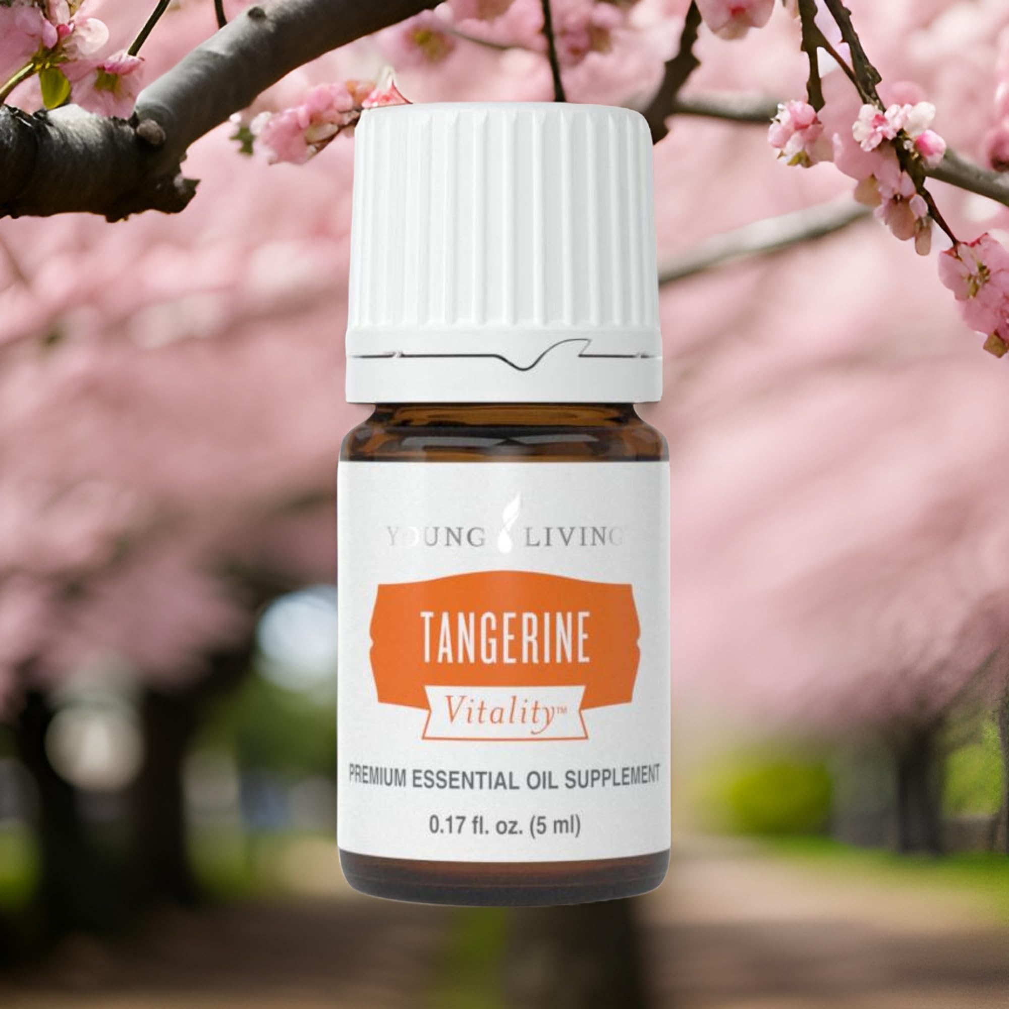 Young Living Tangerine Vitality, mano sosteniendo la botella para uso diario