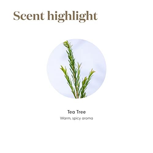 Tea Tree de Young Living ambienta el hogar con aroma fresco.