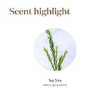 Tea Tree de Young Living ambienta el hogar con aroma fresco.