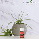 Textura dorada del Aceite de Zanahoria de Young Living, aroma terroso.