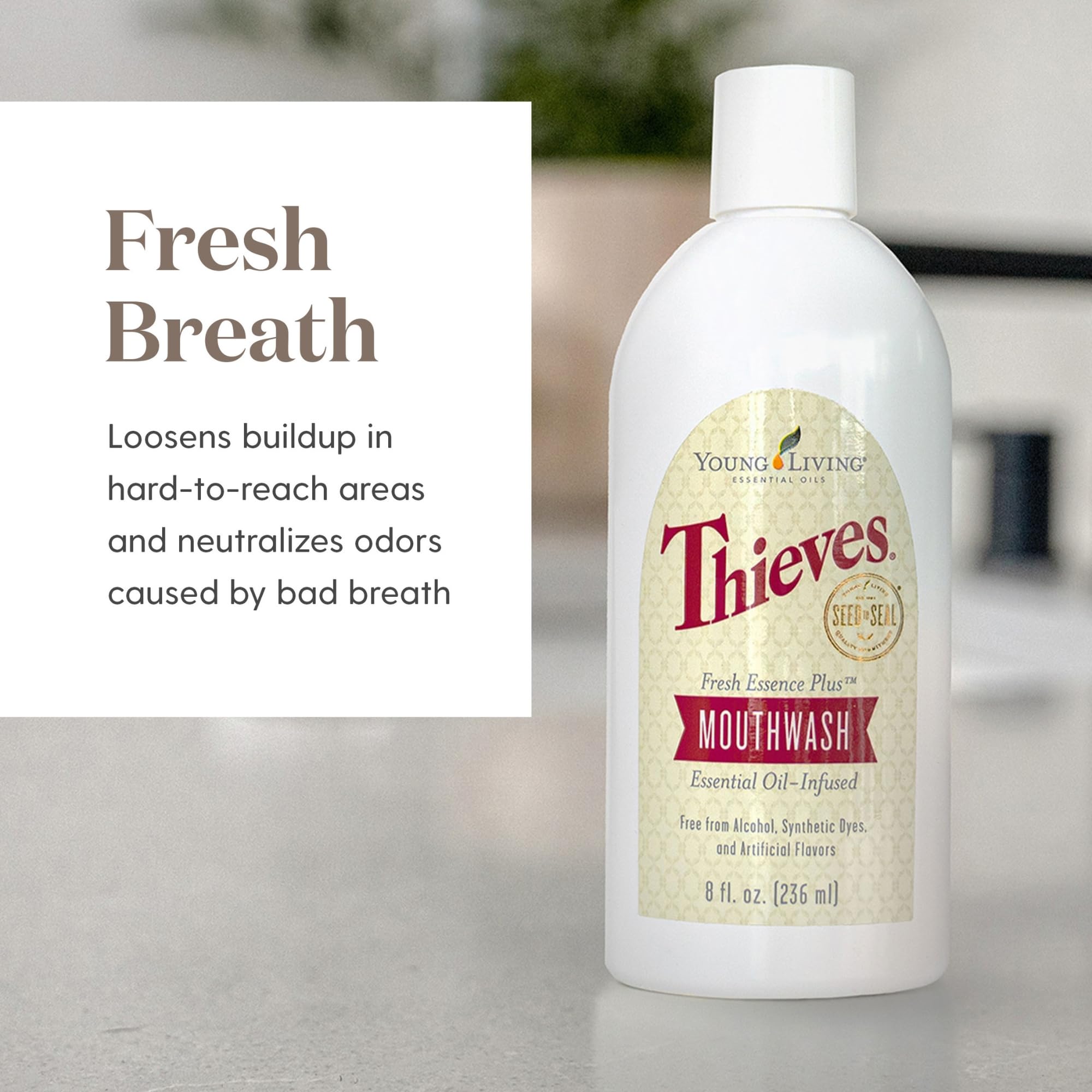 Young Living Thieves Fresh Essence aromas de aceites esenciales para aliento natural.
