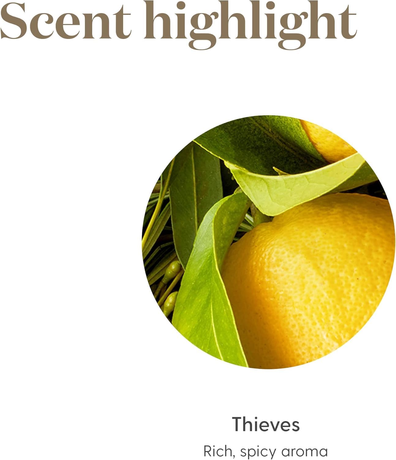 Young Living Thieves para limpieza natural: fragancia fresca en soluciones caseras
