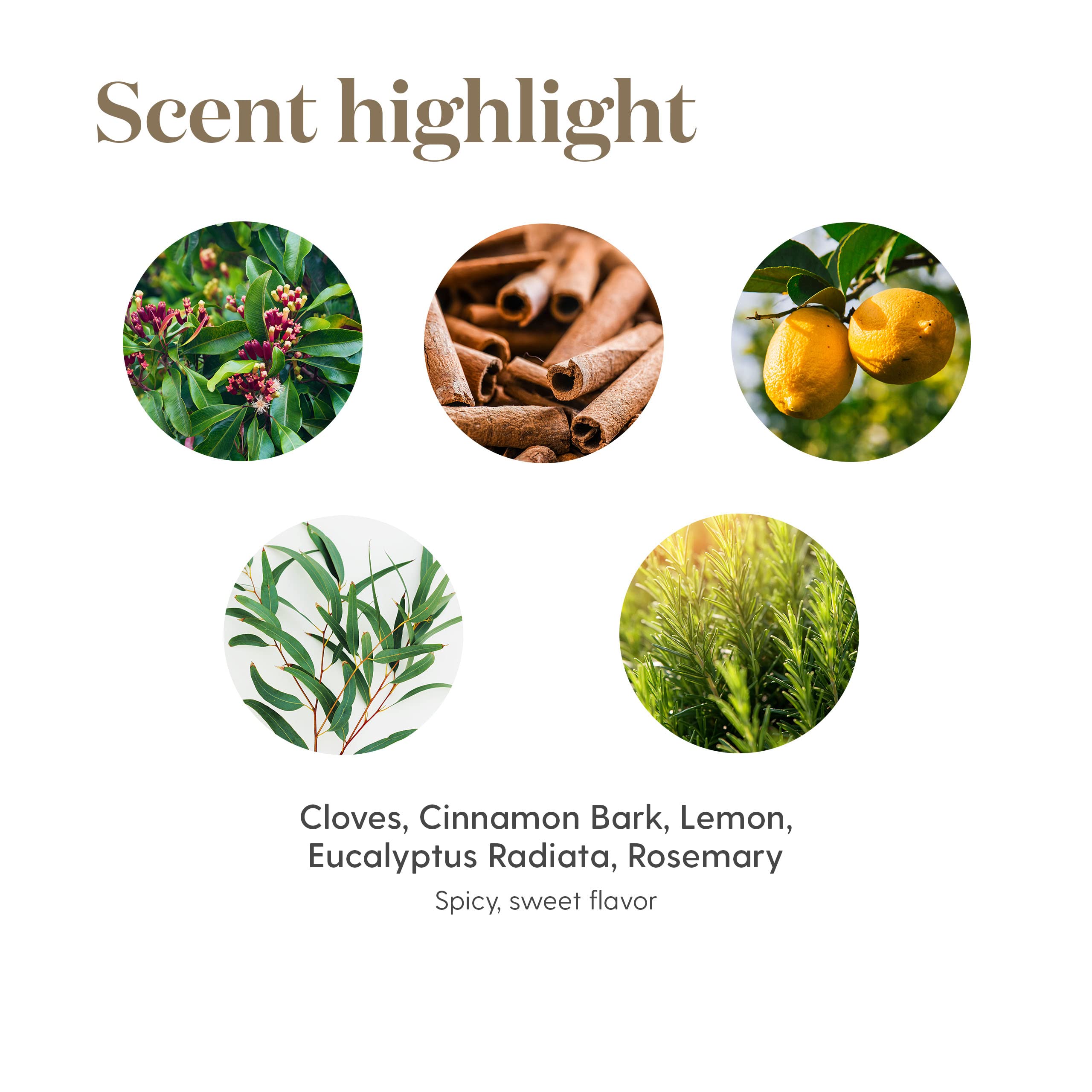 Uso diario de Young Living para experiencias sensoriales consistentes.