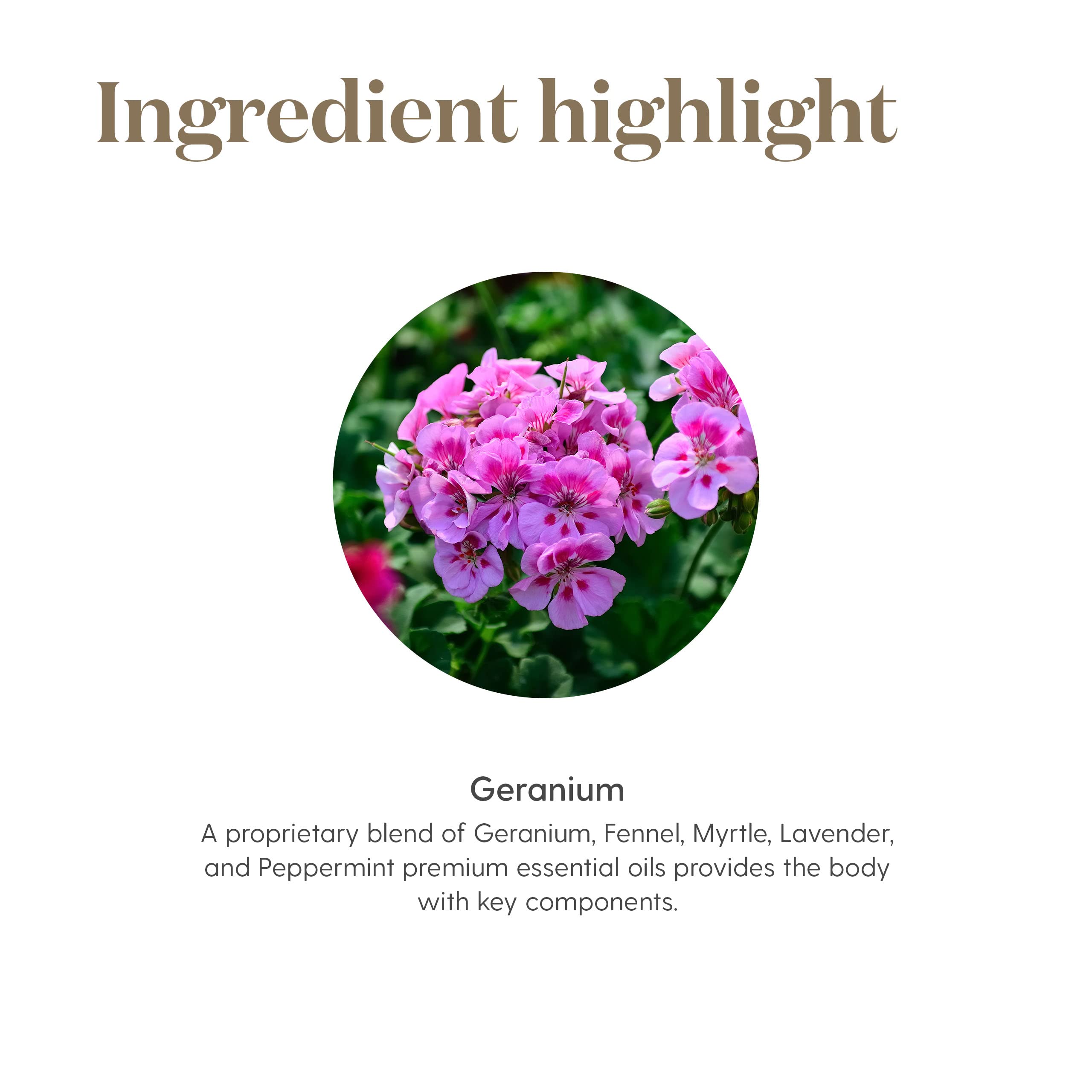 Young Living Uso diario: ritual sencillo para bienestar sostenido.