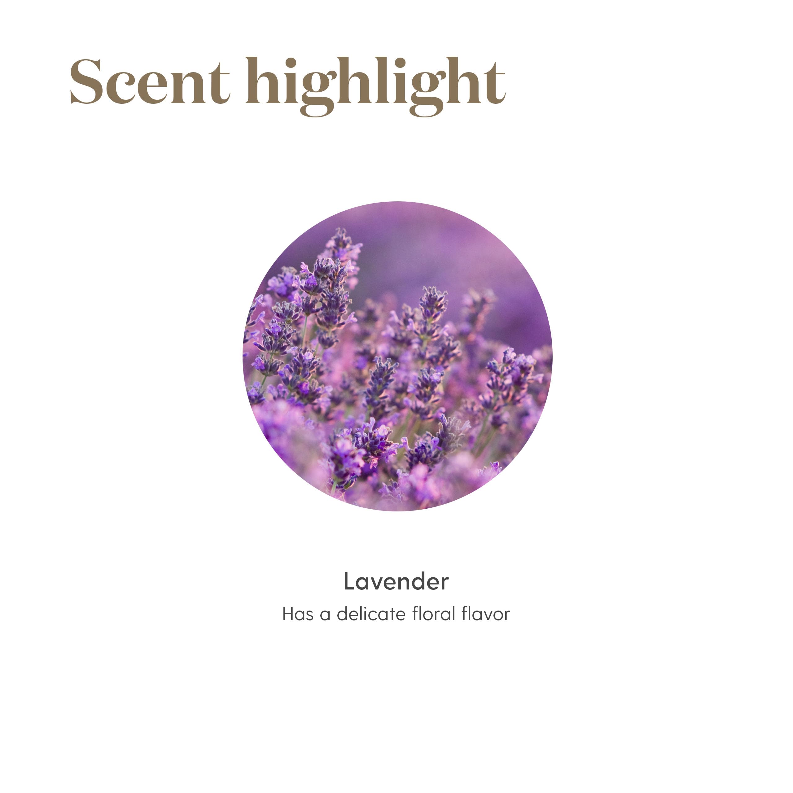 Young Living Vitality Lavanda: aroma para infusionar bebidas nocturnas sin alcohol.