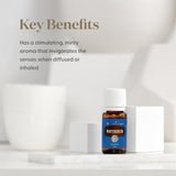 Young Living Wintergreen para difusor, aroma inspirador para sesiones de relajación