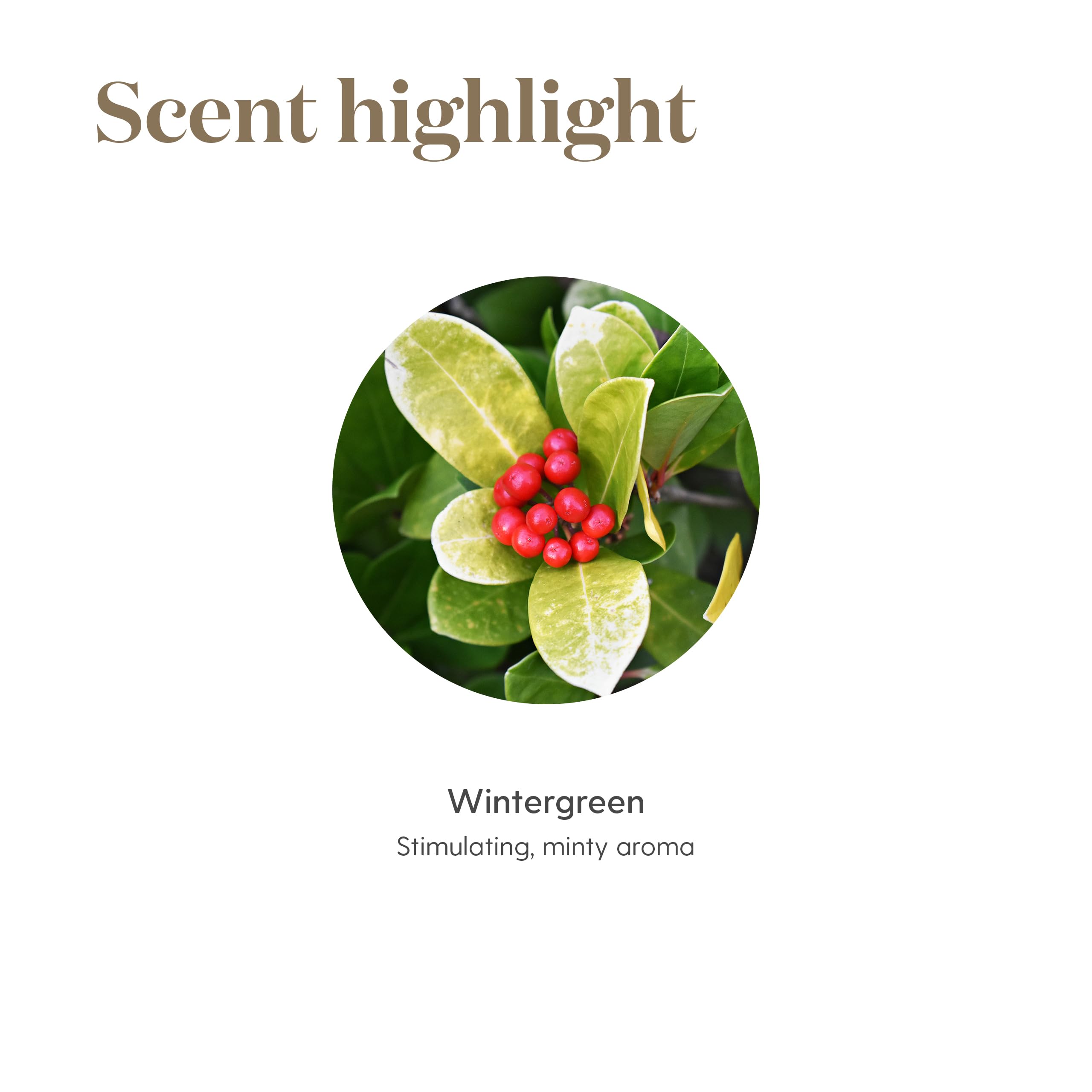 Young Living Wintergreen, envase sostenible para uso diario responsable