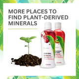 Presentación de dosis diaria de Minerales Líquidos Youngevity Derivados de Plantas