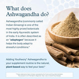 Youtheory Ashwagandha control de calidad: lote certificado y fiable.