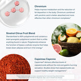 Youtheory Daily Fat Burner: imagen de Sinetrol, enfoque metabólico posible