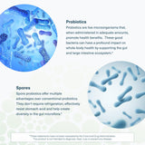 Prebioticos FOS y XOS en Youtheory Spore Probiotic Powder