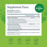 Youtheory Spore Probiotic favorece la regularidad digestiva en uso diario.
