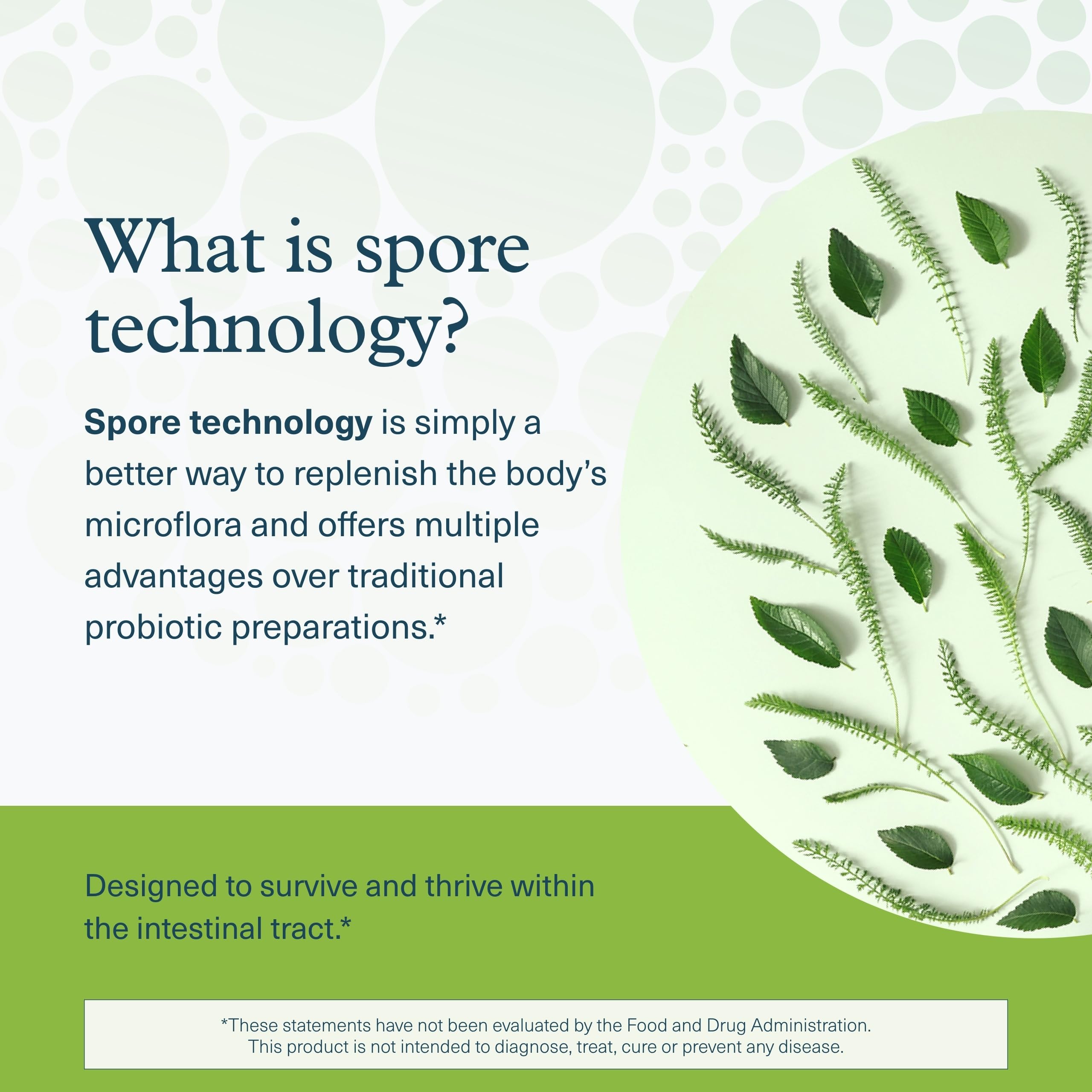 Youtheory Spore Probiotic libre de colores artificiales para ingesta limpia.