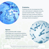 Youtheory Spore Probiotic certificado por terceros garantiza calidad.