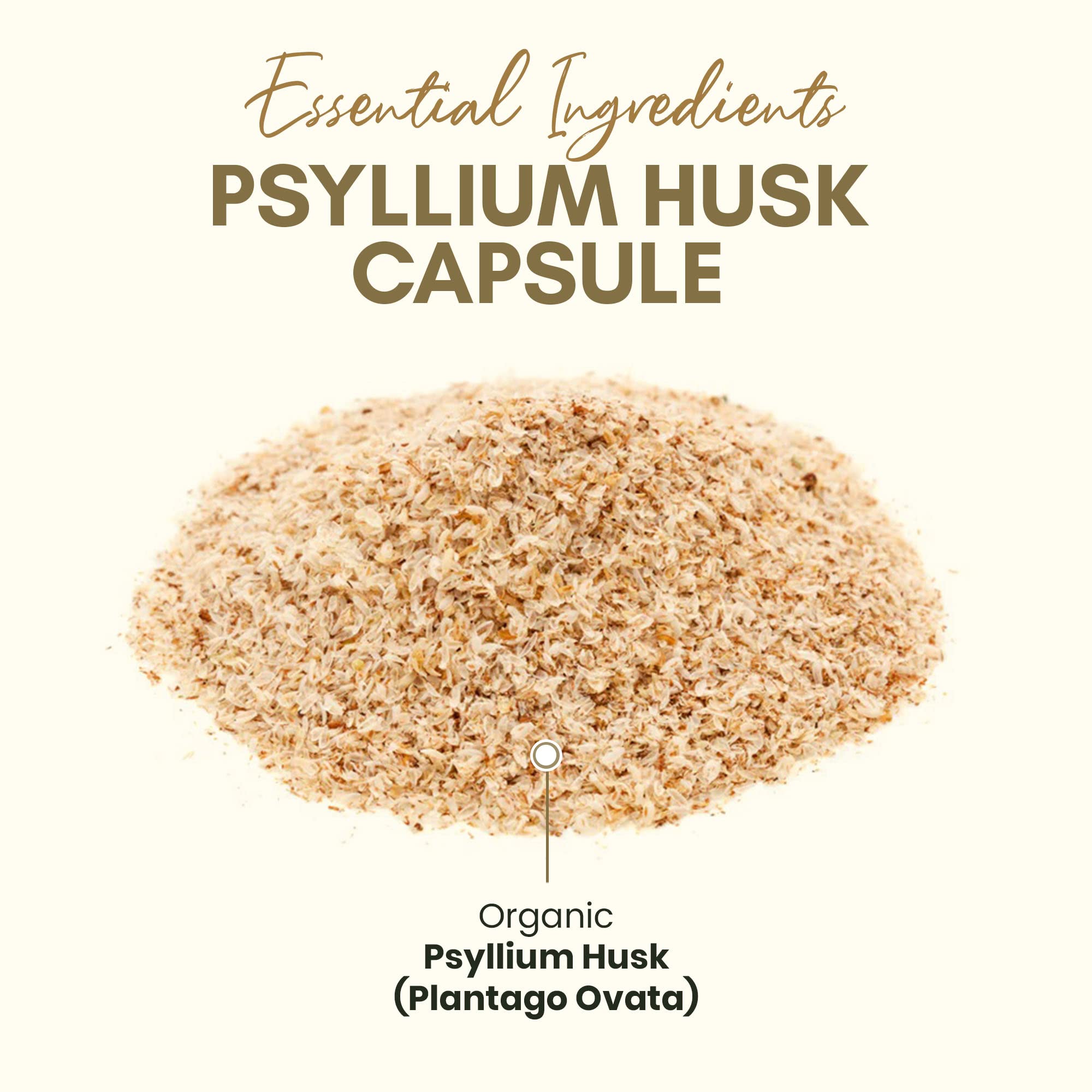 Cápsulas individuales de psyllium 750 mg, Z Zealthy Life, dosis conveniente