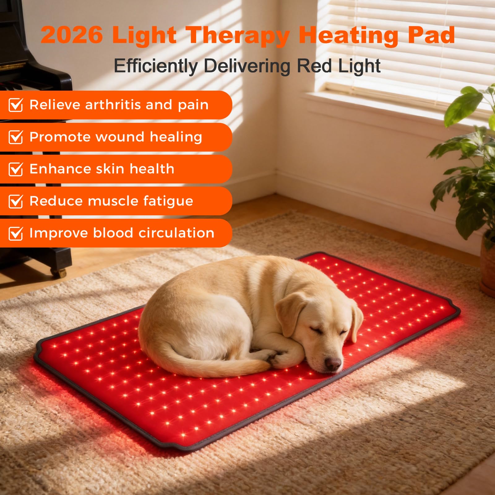ZAEXAE con 270 LEDs para terapia de luz roja e infrarroja en perros