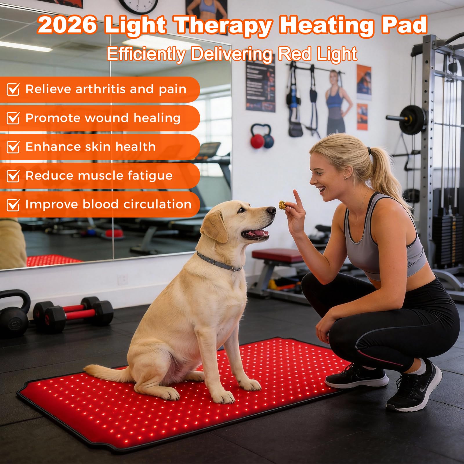 Terapia ZAEXAE para perro con luz roja, tres modos y pulso ajustable.