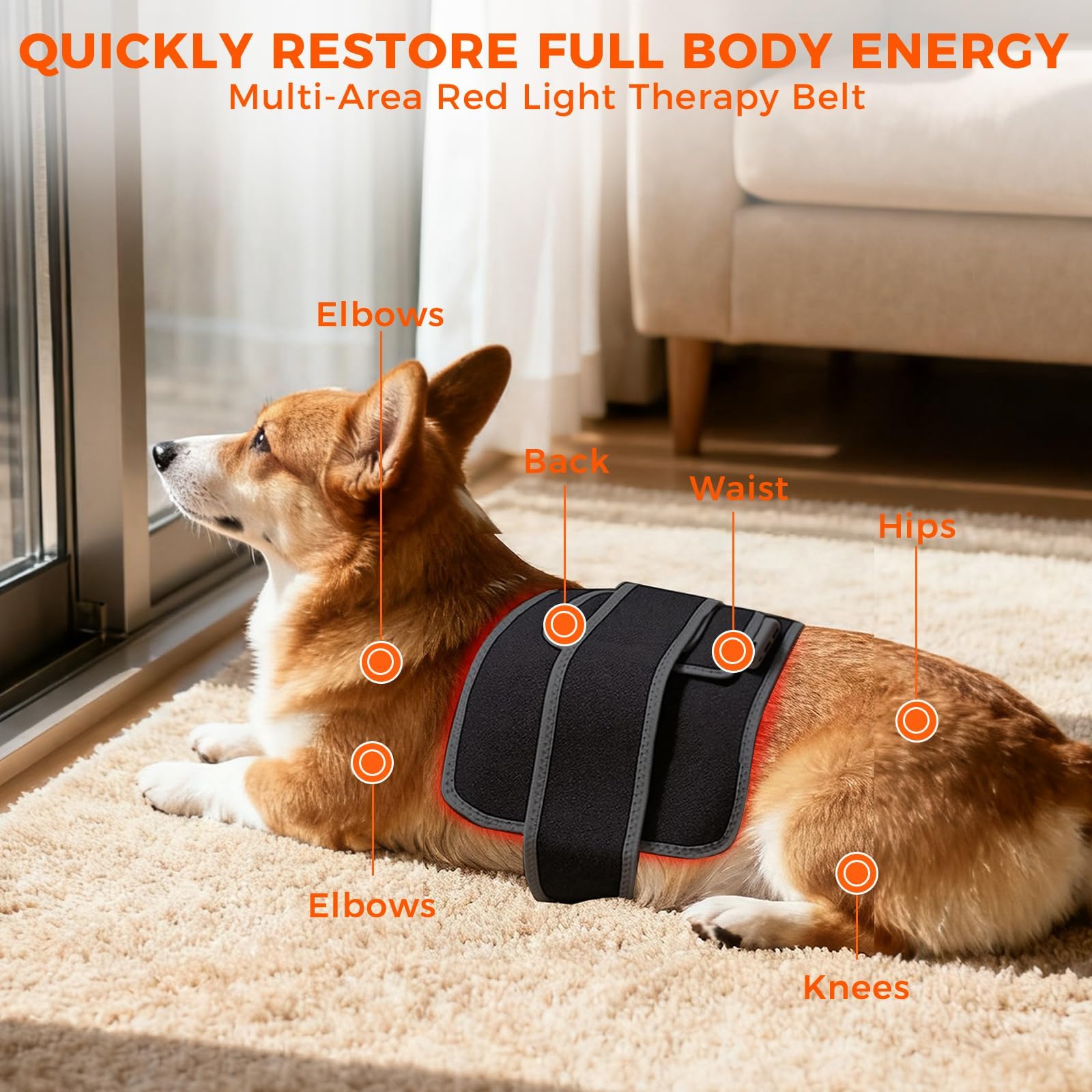 ZAEXAE uso para perros, gatos y otras mascotas envolviendo cintura y espalda