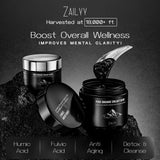 Jarra de viaje ZAILYY Shilajit Resin para llevar contigo
