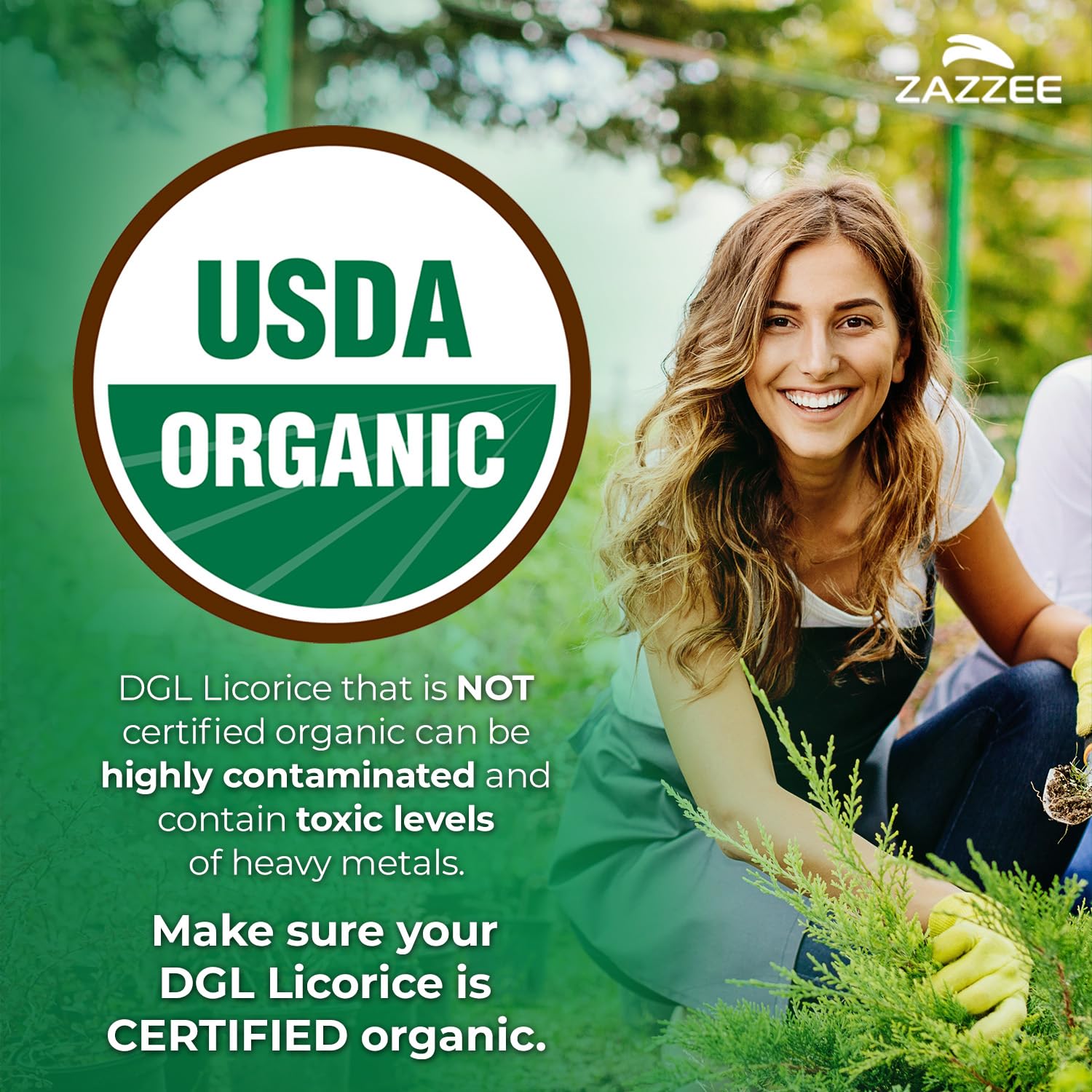 Frasco Zazzee con extracto DGL orgánico certificado USDA